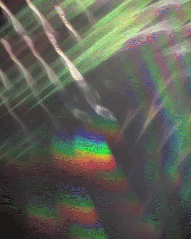 Rainbow Artist GIF by Mollie_serena