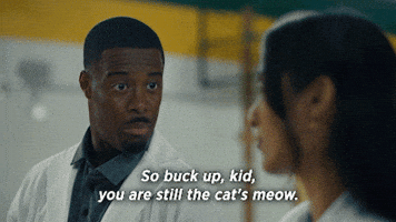 Buck Up Cats Meow GIF by Drama Club FOX