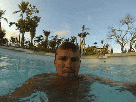 Budotsmedia GIF