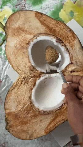 Island Life Nostalgia GIF