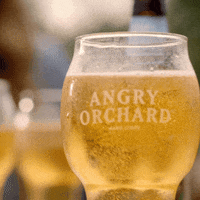 happy hour apple GIF by Angry Orchard
