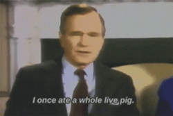 george w bush