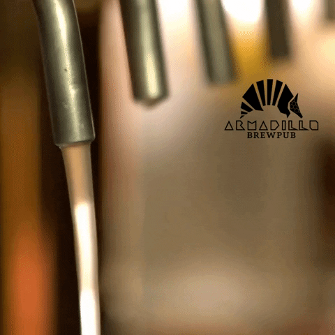 Armadillocervejaria GIF by Armadillo Brewery