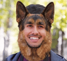 German Shepherd Dog GIF