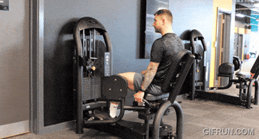 Hip Abduction Machine GIF