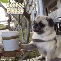 Sleepy Good Morning GIF