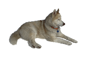 Sticker by Appartements_Andy