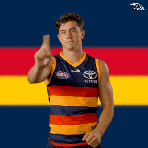 Mchenry GIF by Adelaide Crows