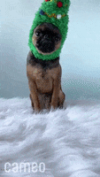 Merry Christmas Dog GIF by Cameo