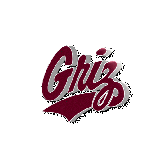 Montana State Football Sticker by Montana Grizzlies
