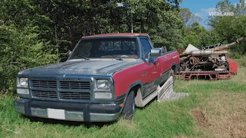 200.gif?cid=fc005b08653b8a1ff7dc67a43b2fc749e838f32ac43bd06d&rid=200.gif&ct=g