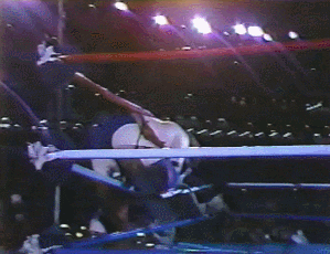 Wwe GIF