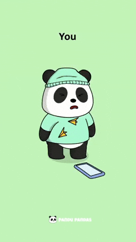 Phone Panda GIF by Pandu Pandas