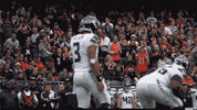 100.gif
