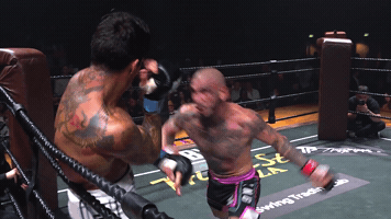 GIF by Dirty Boxing Championship
