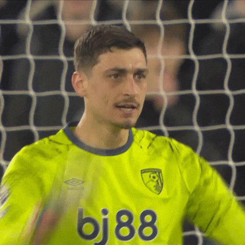 Well Done Football GIF by AFC Bournemouth