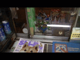 200.gif