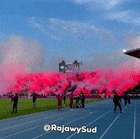 Curva Sud GIF