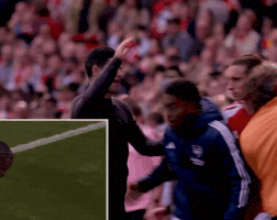 Mikel Arteta GIF by memes