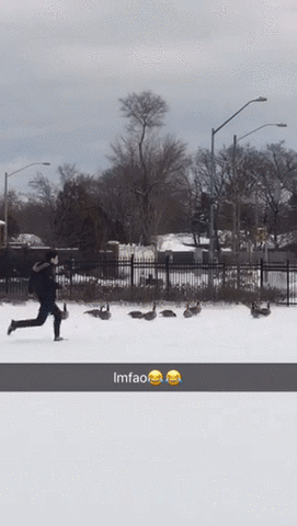 canadian winter GIF