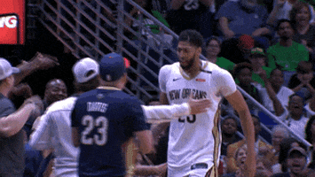 celebrate new orleans pelicans GIF by NBA