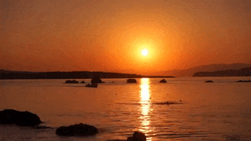 sunset strand GIF by For 91 Days