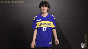 Meme Reaction GIF by Boston Uprising