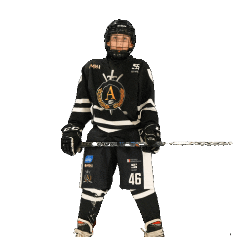 Alfa hockey Sticker