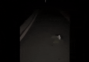 Run GIF