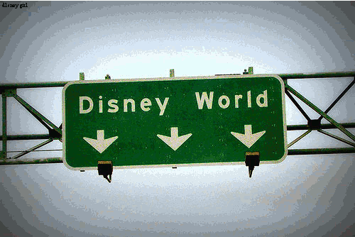 have you ever been to disneylandworld how many times whats your favorite thing