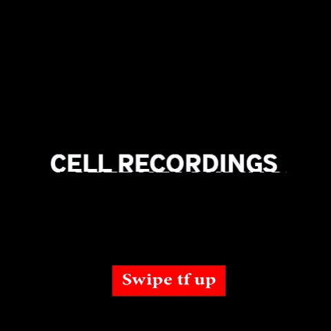 Instagram Swipe Up GIF by CELL Recordings