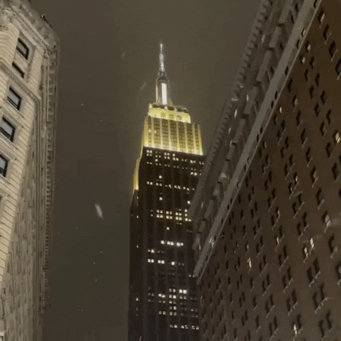 New York Snow GIF by Storyful