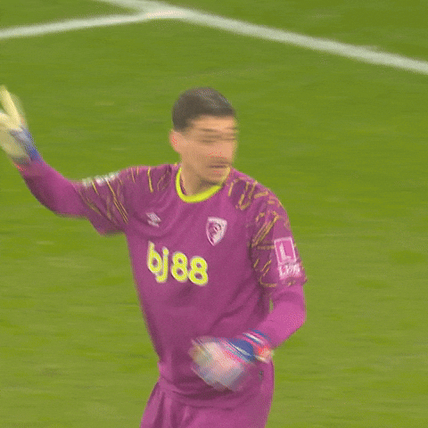 Confused Premier League GIF by AFC Bournemouth