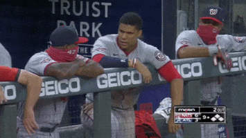 Baseball GIF