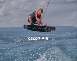 ceccotorenas boarding family GIF