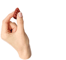 Mon Ami Mascotas Sticker