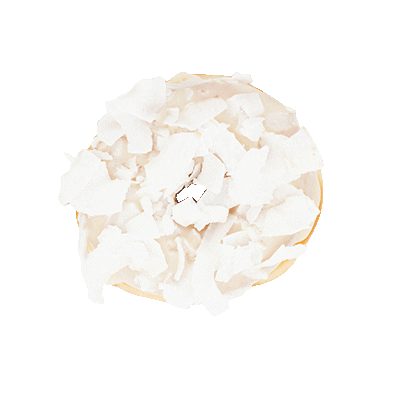 MOD donuts Sticker