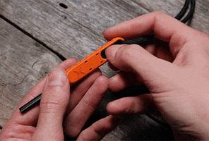 Survival GIF