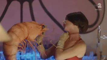 shrimp dancing GIF