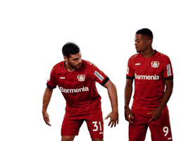 Bayer 04 GIF by Bayer 04 Leverkusen