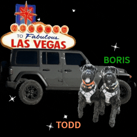 Boris Dog GIF