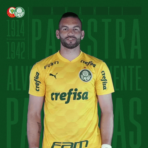 Puma Nao GIF by SE Palmeiras