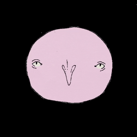 Moon GIF