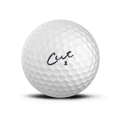 Cut Golf GIF