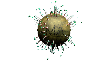 Covidma Sticker by ME Group