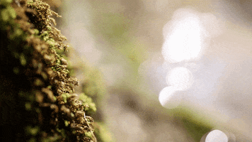 Alexander Boehle PhotoProduction GIF