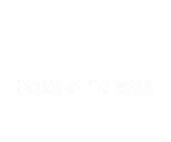 Glasses 39Dg Sticker by 39dollarglasses.com