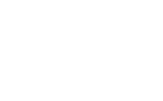 Horses Sticker