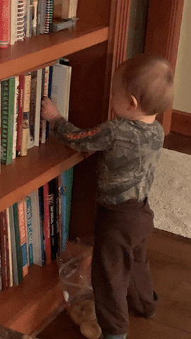 Baby Books GIF by Real Food RN