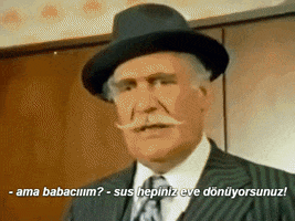 duygukocabayloglu ahnerede beyazperde GIF